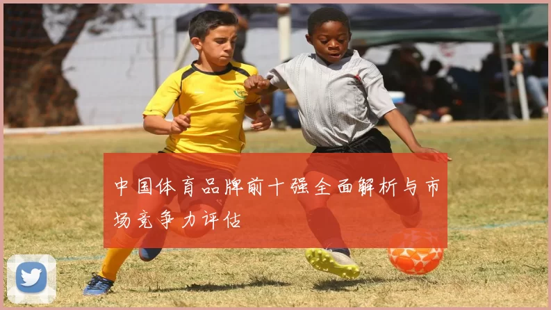 中国体育品牌前十强全面解析与市场竞争力评估
