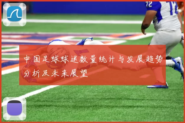 中国足球球迷数量统计与发展趋势分析及未来展望
