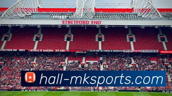 MK体育APP 封面图